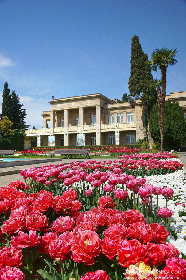 Цветочный калейдоскоп, феерия красок, нежность запахов - Парад тюльпанов 2023 в Никитском саду Цветочный калейдоскоп, феерия красок, нежность запахов - Парад тюльпанов 2023 в Никитском саду