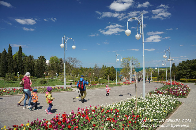 Севастопольский парад тюльпанов 2019 в сквере Ахматовой Севастопольский парад тюльпанов 2019 в сквере Ахматовой