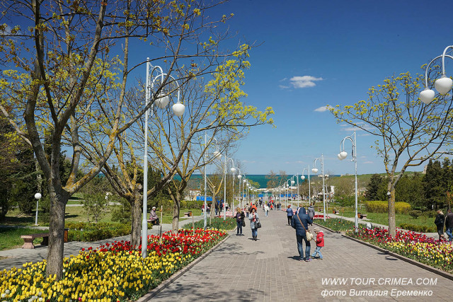 Севастопольский парад тюльпанов 2019 в сквере Ахматовой Севастопольский парад тюльпанов 2019 в сквере Ахматовой